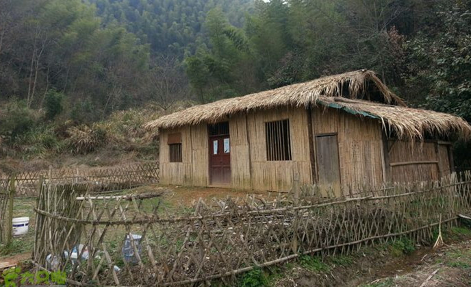  阿尔卡拉斯首夺大满贯创造历史